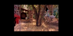 Ladrón de Ilusiones