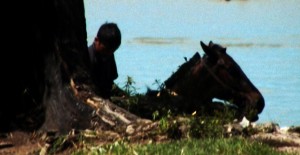 Horses | Dir. Juliana Rodriguez