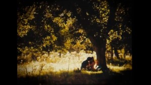 Verano | Dir. José Luis Torres Leiva