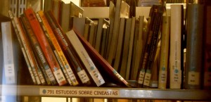 Percepción Foto: Diana Alcántara