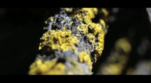 simultáneo  Andes Fanúndes Toro  María de los Ángeles Toro 2