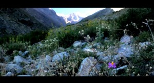 Simultáneo  Andes Faúndes Toro  María de los Ángeles Toro 4