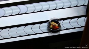 Soya_Begonia Carballo