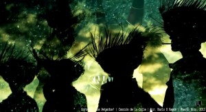 Canción de La Calle | Los Petardos!