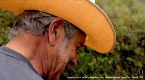 TetelaDeOroYEsperanza3FMM