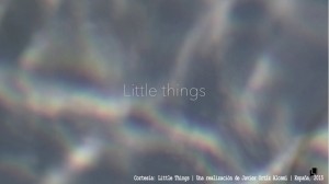 LittleThings_1