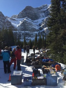 49bed60e0760c6e419821d5be994a2b3