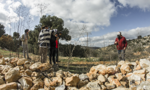 Palestine street video3