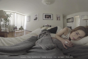 constitucion-leo-medel-1