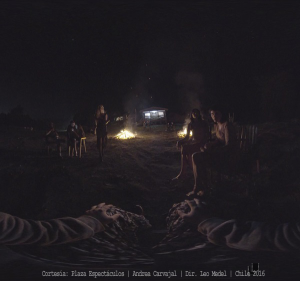 constitucion-leo-medel