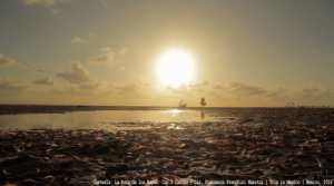 la-ruta-de-los-mayas-2