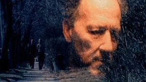 julien-donkey-boy herzog