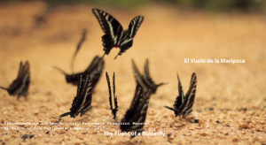 El vuelo de la mariposa Trip In México Filmakersmovie 2