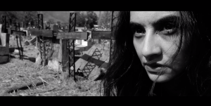 Captura de Pantalla 2019-05-24 a la(s) 11.16.05