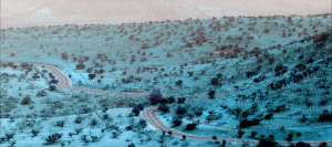 Captura de Pantalla 2019-09-12 a la(s) 17.31.03