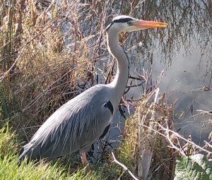 WhatsApp Image 2020-04-03 at 12.00.37 PM