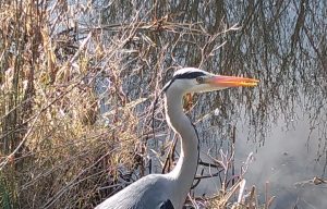 WhatsApp Image 2020-04-03 at 12.00.37 PM