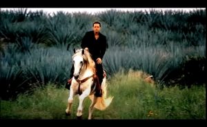 WhatsApp Image 2020-04-28 at 10.34.36 AM-3