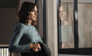 Justicia artificial5